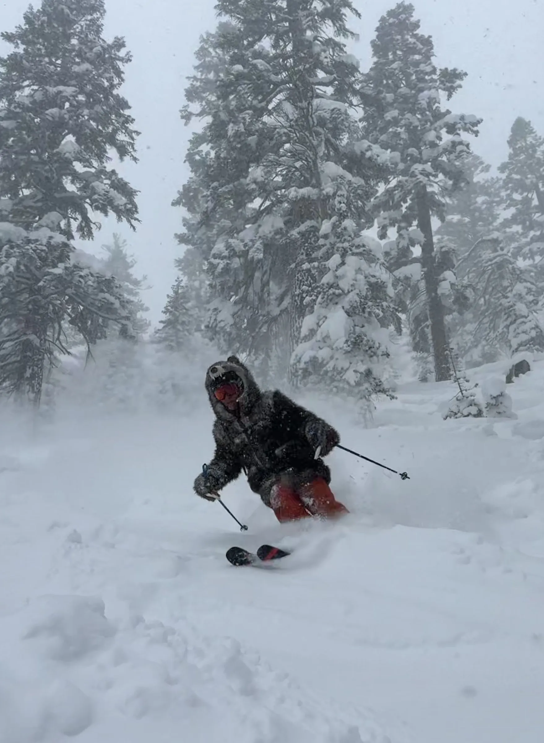 Theodore FitzGerald skiing in fresh snow